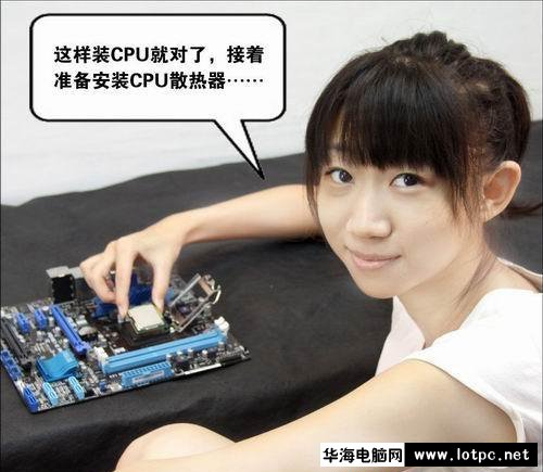 与美女小编一起学习组装电脑吧！