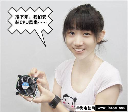 与美女小编一起学习组装电脑吧！