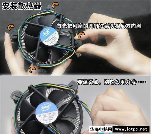 与美女小编一起学习组装电脑吧！