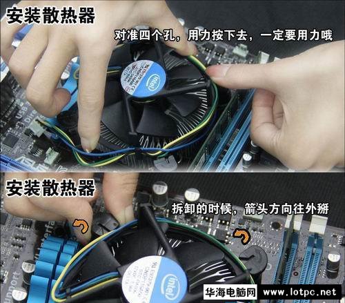 与美女小编一起学习组装电脑吧！