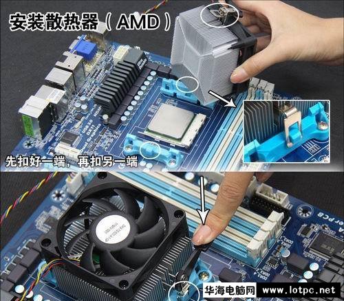 与美女小编一起学习组装电脑吧！