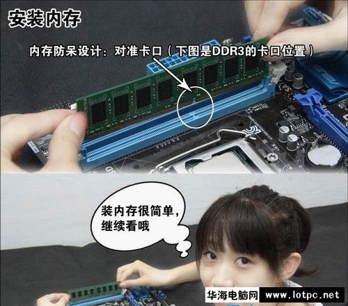 与美女小编一起学习组装电脑吧！
