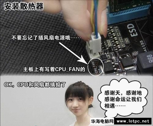 与美女小编一起学习组装电脑吧！