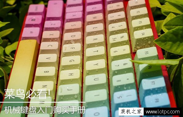 菜鸟必读：机械键盘入门选购指南