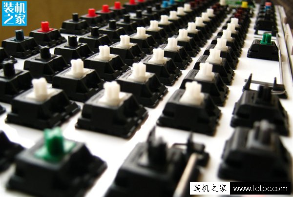菜鸟必读：机械键盘入门选购指南