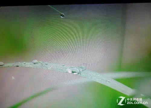 电脑黑屏蓝屏怎么回事（电脑蓝屏黑屏怎么办教你一招）